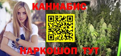гашик Шебекино