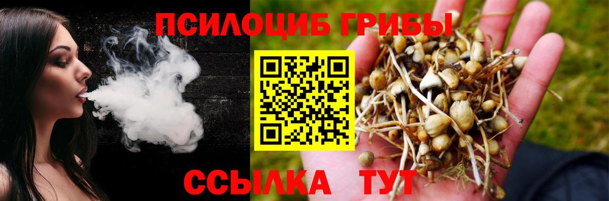 Галлюциногенные грибы прущие грибы  наркота  Нефтекамск  Вход с VPN 
